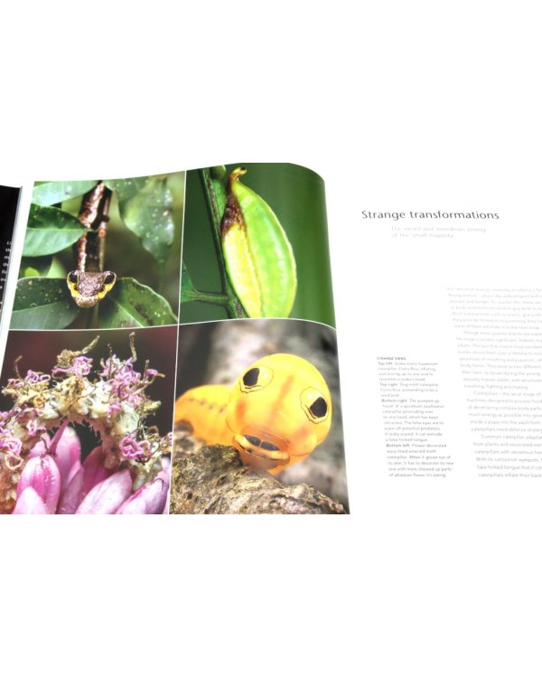 Life Story: Many Lives, One Epic Journey