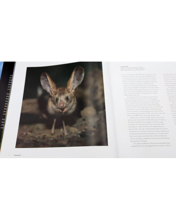 Life Story: Many Lives, One Epic Journey