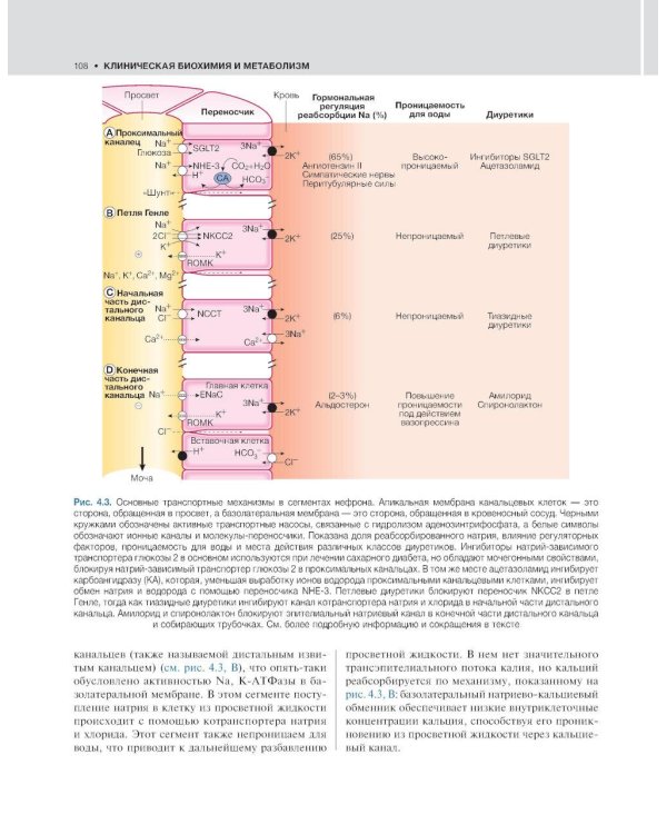 Внутренние болезни по Дэвидсону: в 5 т. Т. 3. Онкология. Гематология. Клиническая биохимия. Возраст и болезни. 2-е изд