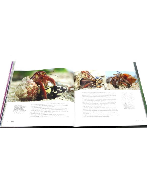 Life Story: Many Lives, One Epic Journey