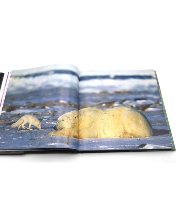 Life Story: Many Lives, One Epic Journey