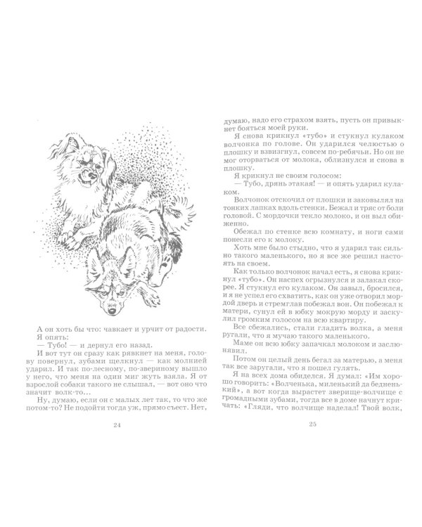 Что бывало: рассказы