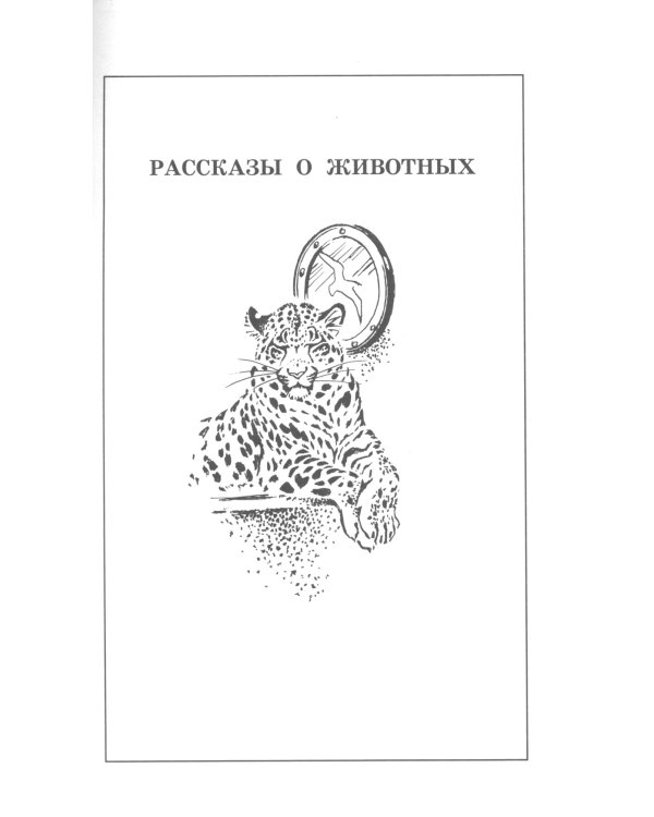 Что бывало: рассказы