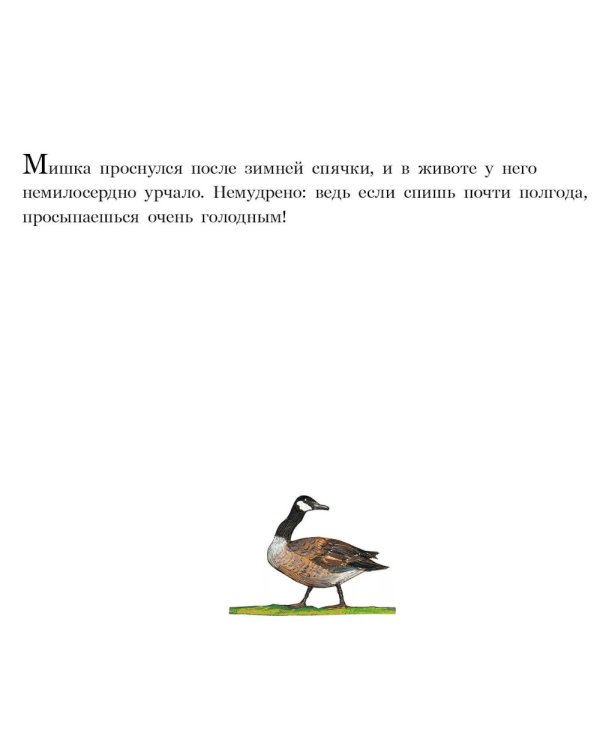 Медвежье чудо. 2-е изд., испр