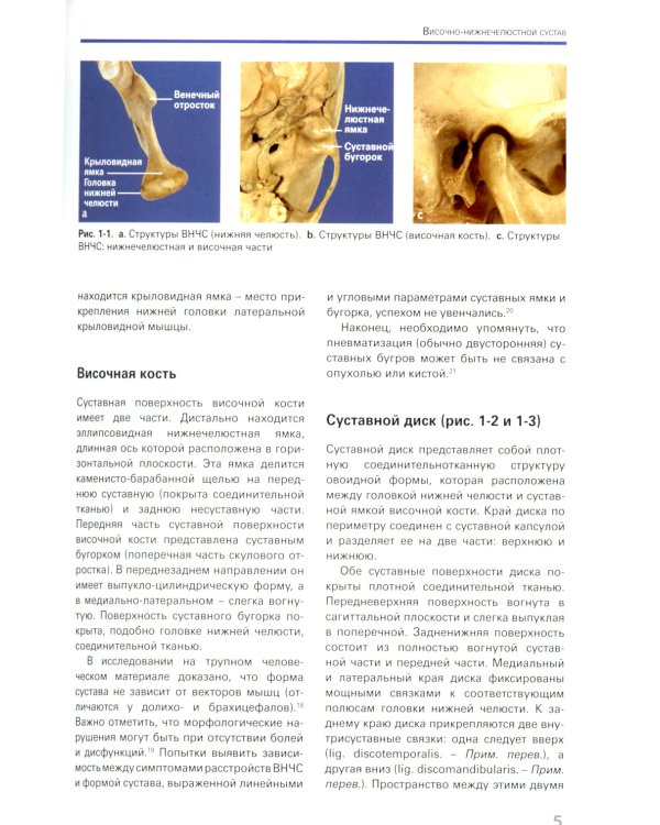 Височно-нижнечелюстные расстройства.Современные концепции диагностики и лечения