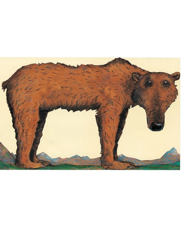 Медвежье чудо. 2-е изд., испр