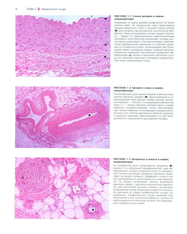 Атлас патологии Роббинса и Котрана