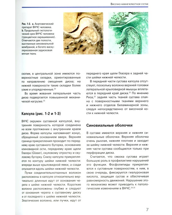 Височно-нижнечелюстные расстройства.Современные концепции диагностики и лечения