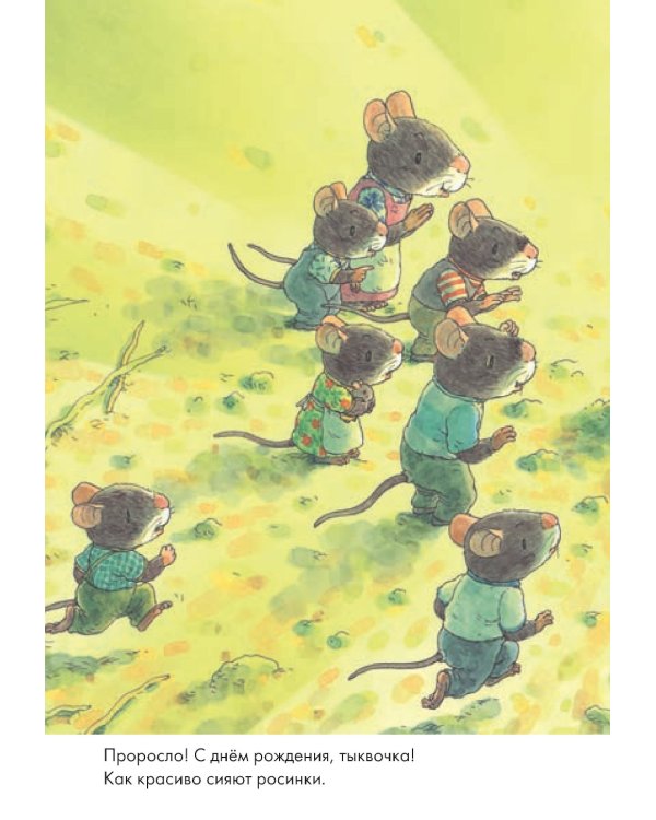 14 лесных мышей. Тыква