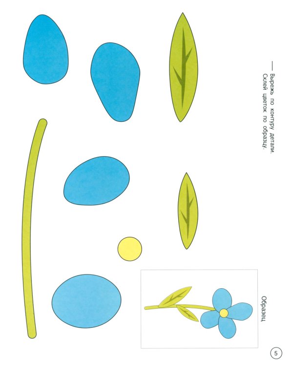 Цветы: книжка-раскраска