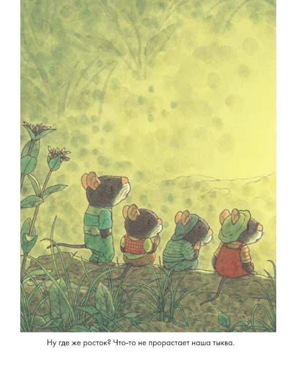 14 лесных мышей. Тыква