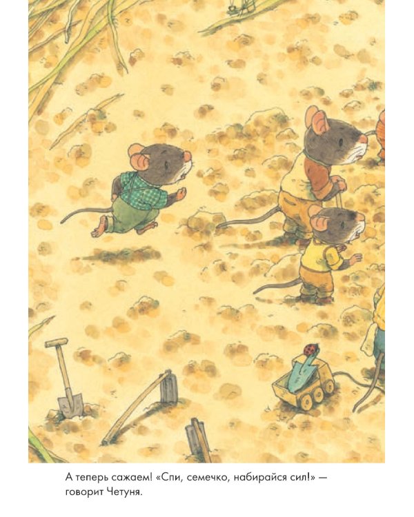 14 лесных мышей. Тыква