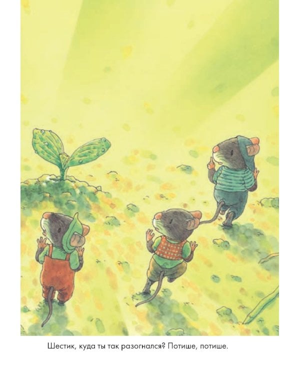 14 лесных мышей. Тыква