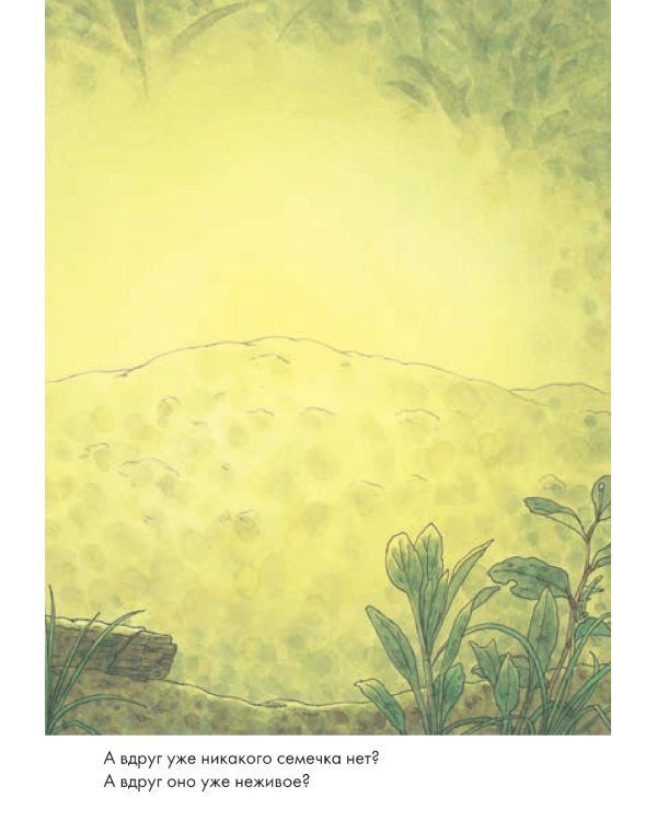 14 лесных мышей. Тыква