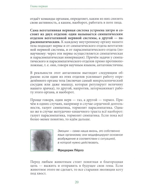 Паническая атака. Избавиться раз и навсегда!