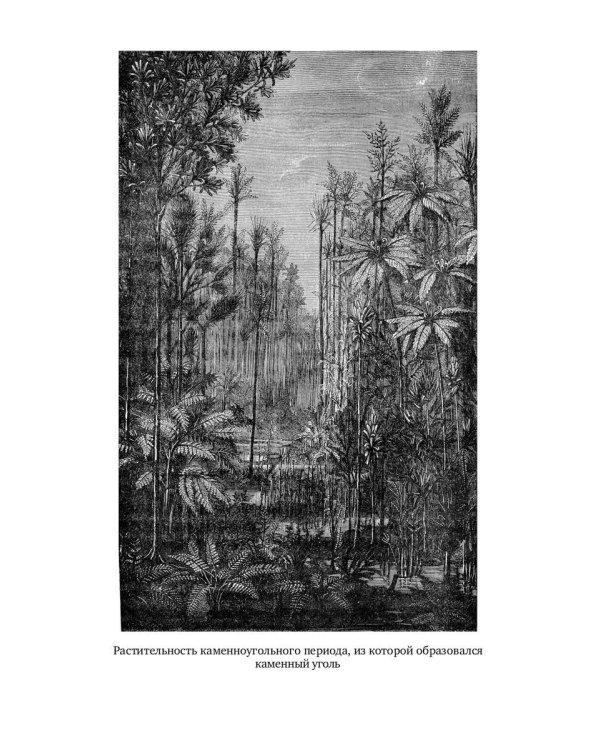 Занимательная геохимия. Химия Земли