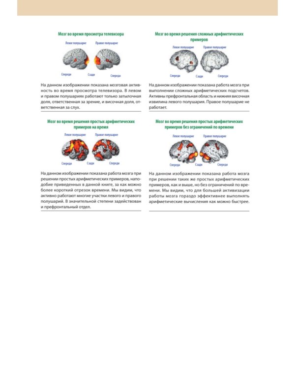 Тренажер для мозга на 60 дней. Развивай внимание, память, логику, интеллект в любом возрасте!