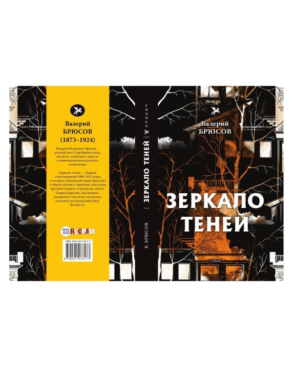 Зеркало теней: стихи