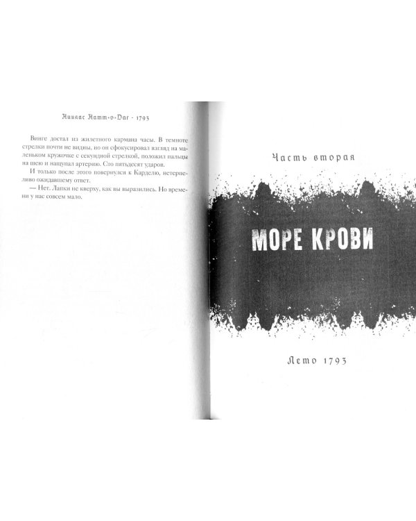 1793. История одного убийства: роман