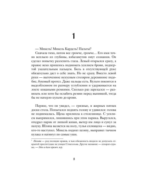 1793. История одного убийства: роман