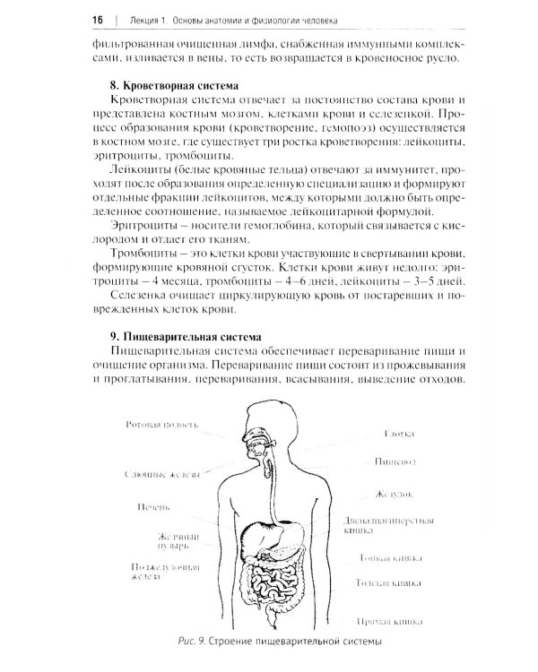 Основы первой помощи: курс лекций