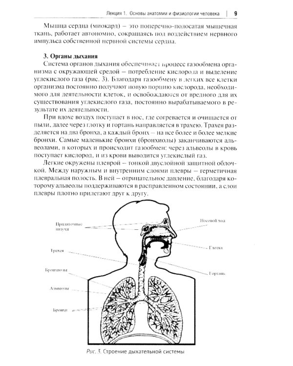 Основы первой помощи: курс лекций