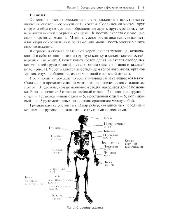 Основы первой помощи: курс лекций