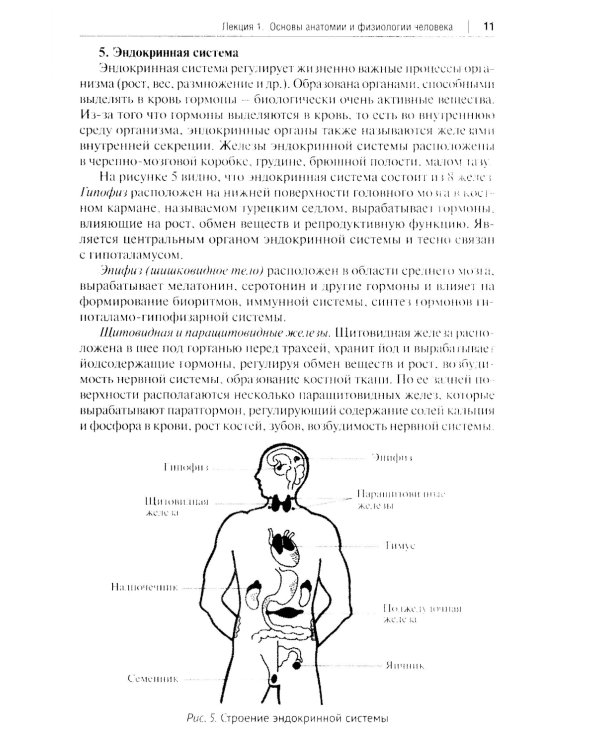 Основы первой помощи: курс лекций