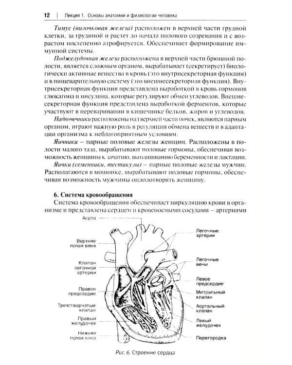 Основы первой помощи: курс лекций