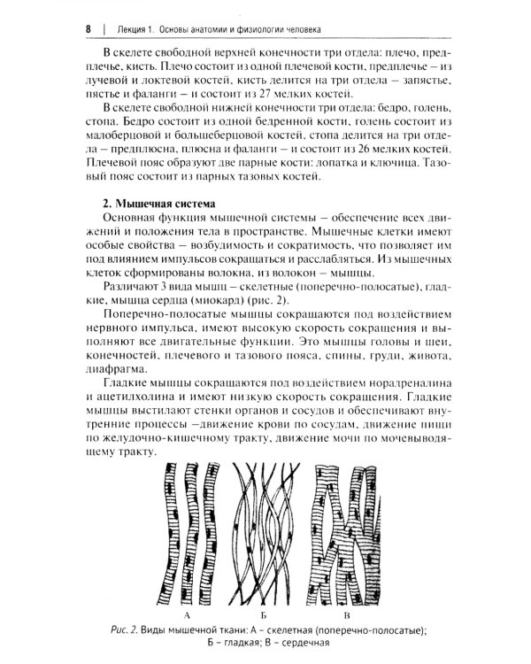 Основы первой помощи: курс лекций