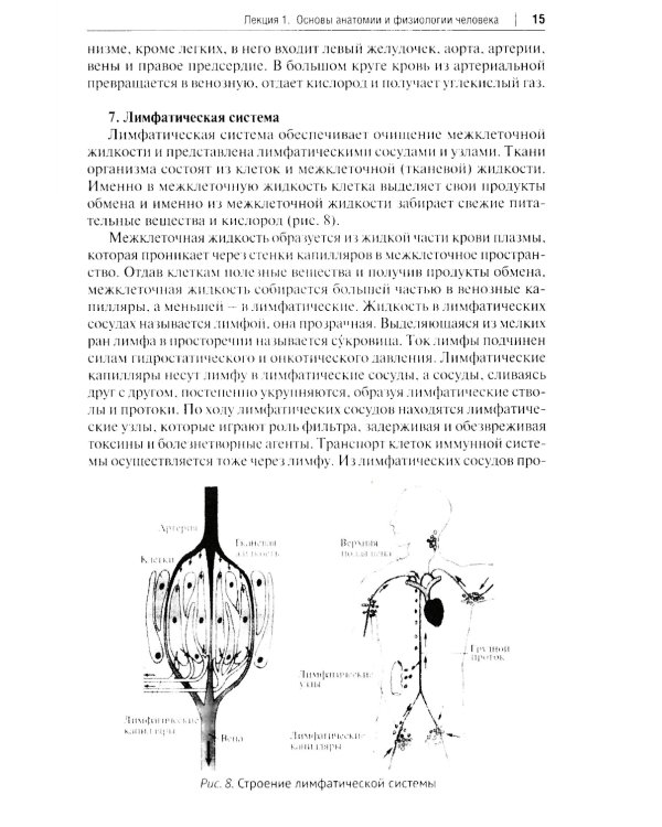 Основы первой помощи: курс лекций