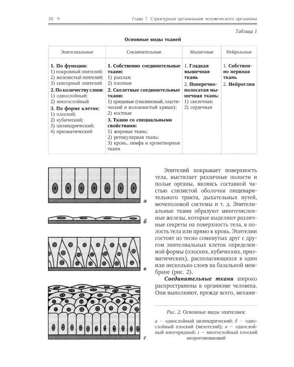 Нормальная анатомия человека. Том 1. Учебник для медицинских ВУЗов