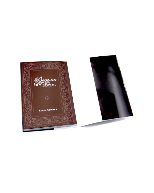 Ведьма и зверь. Т. 1-3: манга (комплект из 3-х томов)