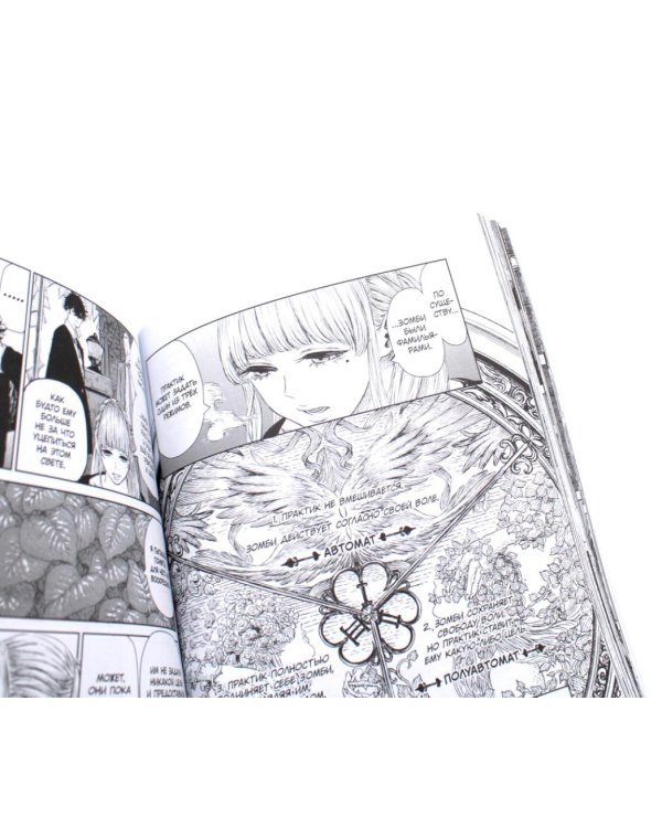 Ведьма и зверь. Т. 1-3: манга (комплект из 3-х томов)