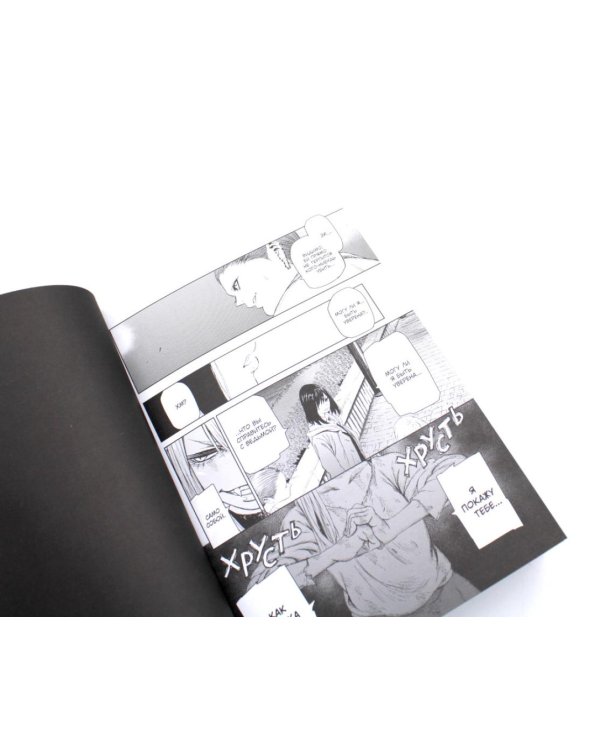 Ведьма и зверь. Т. 1-3: манга (комплект из 3-х томов)