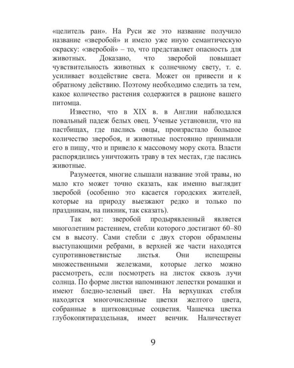 Все о зверобое, чистотеле и пустырнике