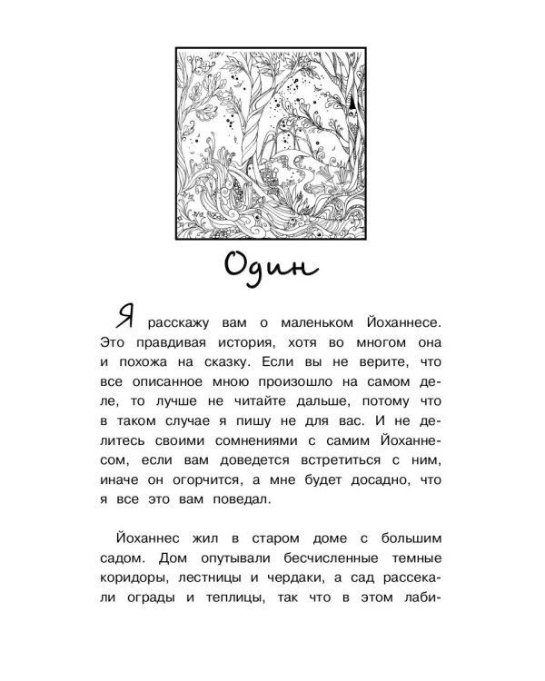 Маленький Йоханнес