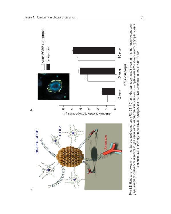 Основы персонализированной и прецизионной медицины: Учебник