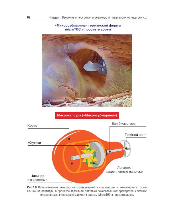 Основы персонализированной и прецизионной медицины: Учебник