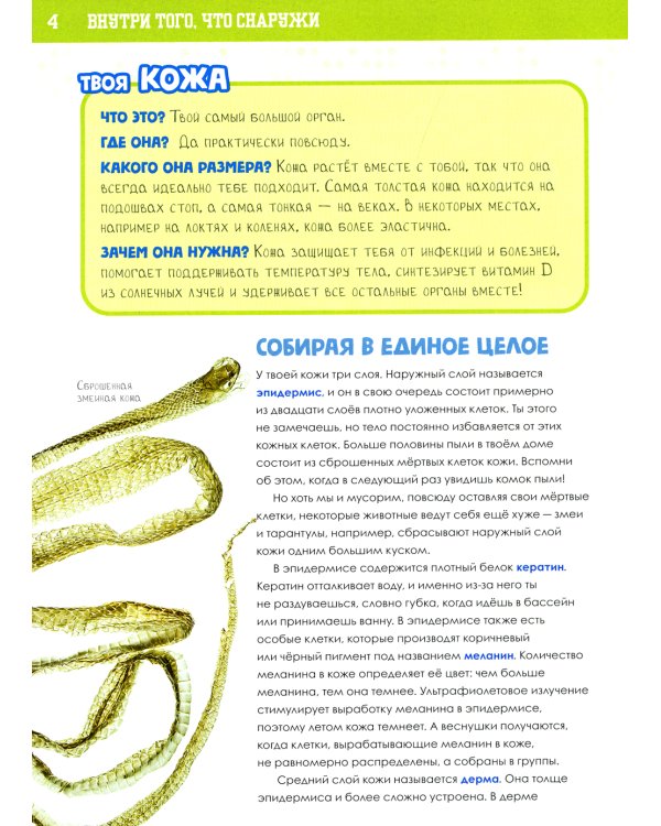 Книга о том, что внутри тебя. Веселые и правдивые истории про болячки, микробы и здоровое тело