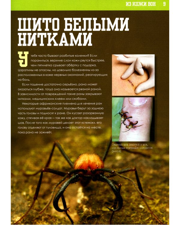 Книга о том, что внутри тебя. Веселые и правдивые истории про болячки, микробы и здоровое тело