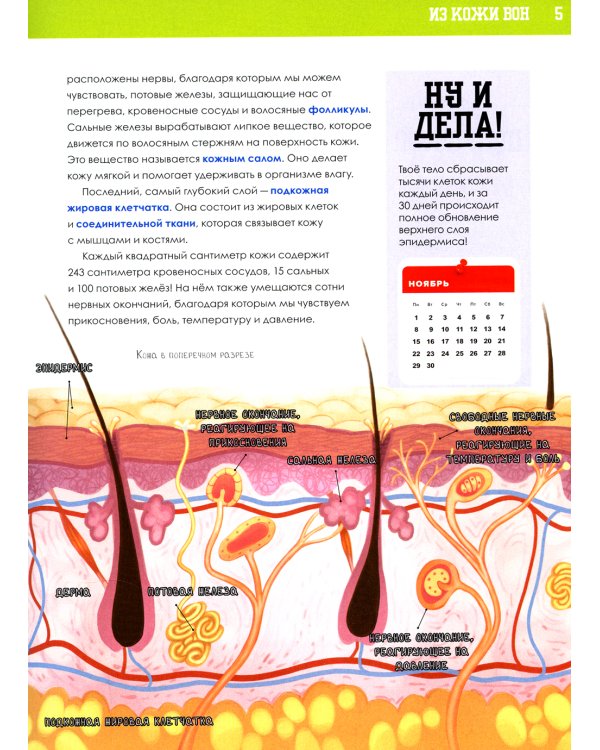 Книга о том, что внутри тебя. Веселые и правдивые истории про болячки, микробы и здоровое тело