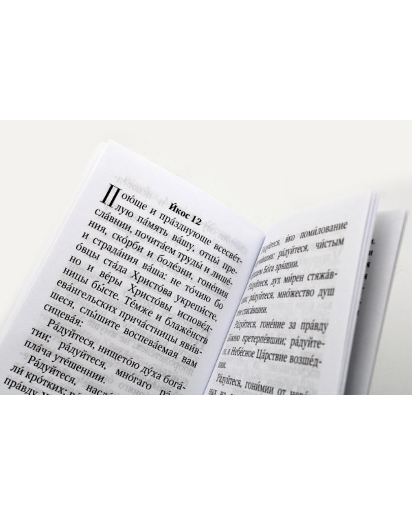 Акафист преподобным старцам Оптинским. С историей пустыни