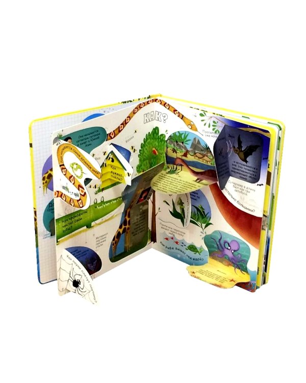 Вопросы и ответы о животных