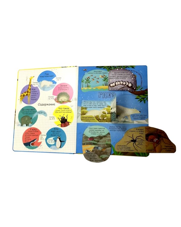 Вопросы и ответы о животных