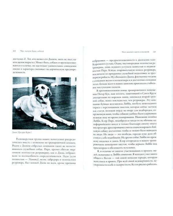 Что значит быть собакой: И другие открытия в области нейробиологии животных