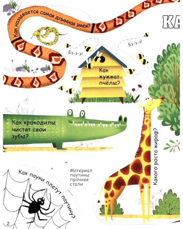 Вопросы и ответы о животных