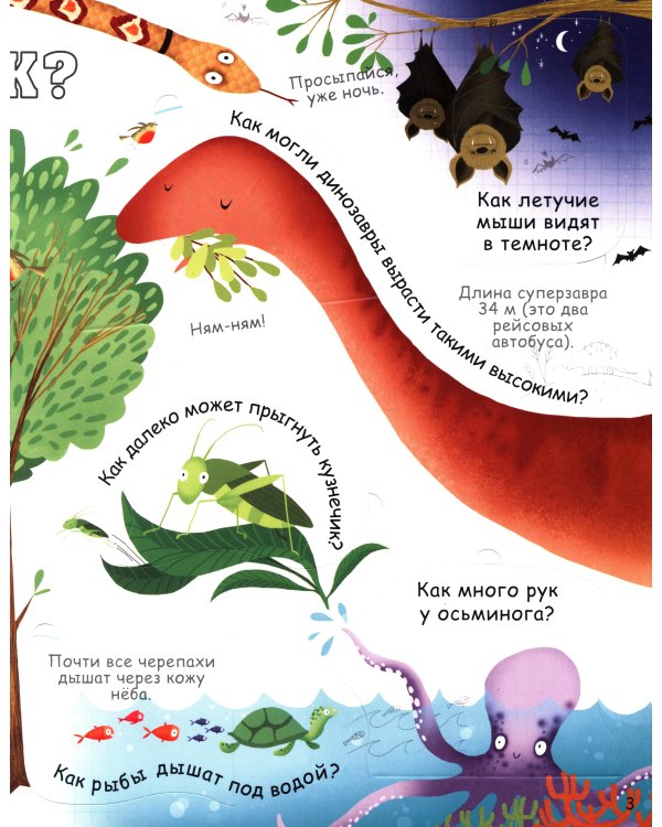 Вопросы и ответы о животных