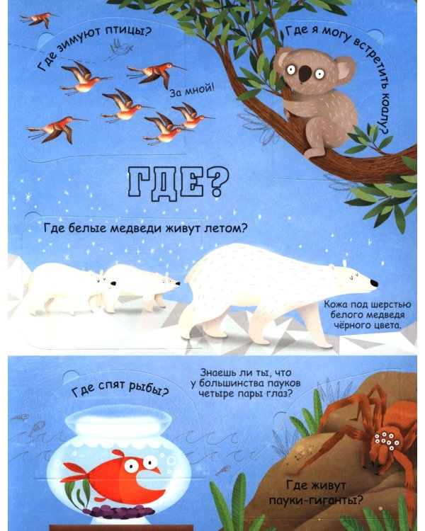 Вопросы и ответы о животных