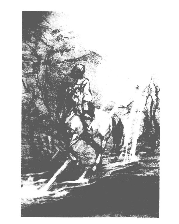 Притчи о главном. О мудрости, о жизни, о любви